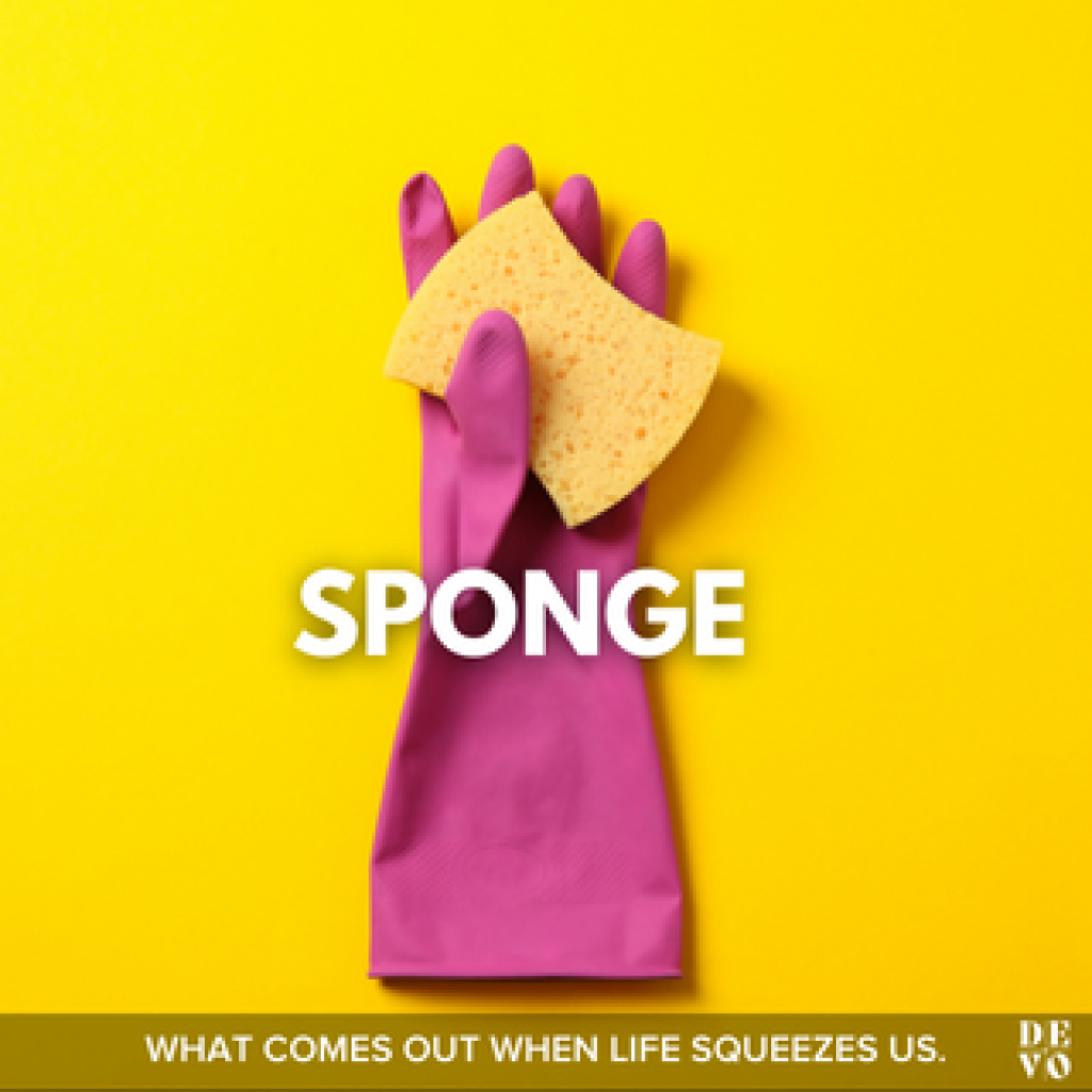 Sponge - Day Three